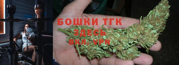 прущая мука Ельня