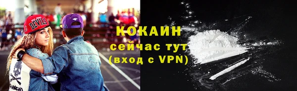 прущая мука Ельня