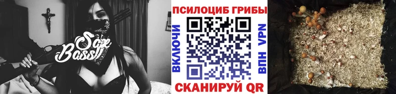 Галлюциногенные грибы GOLDEN TEACHER  Купить где  Юрьевец 